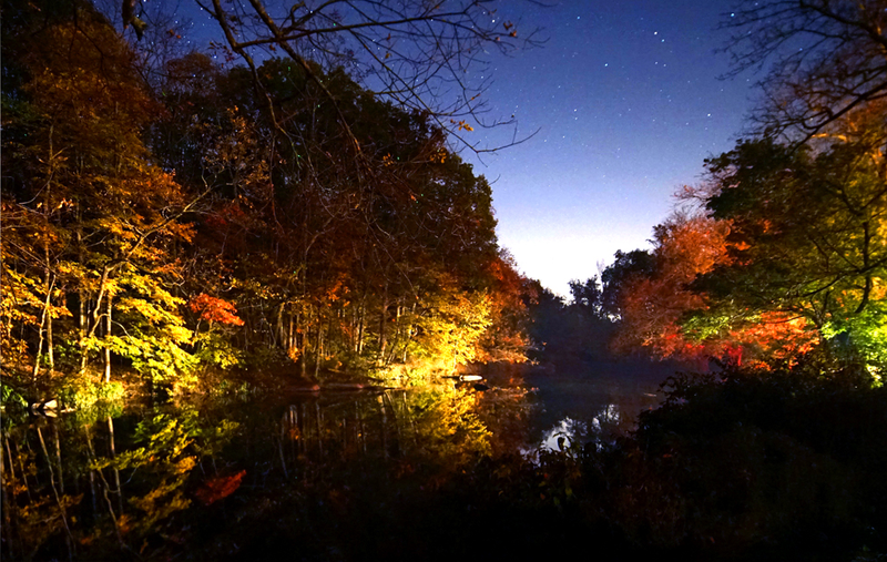 Illustration for article titled 48 Photos Of Autumn Around The World